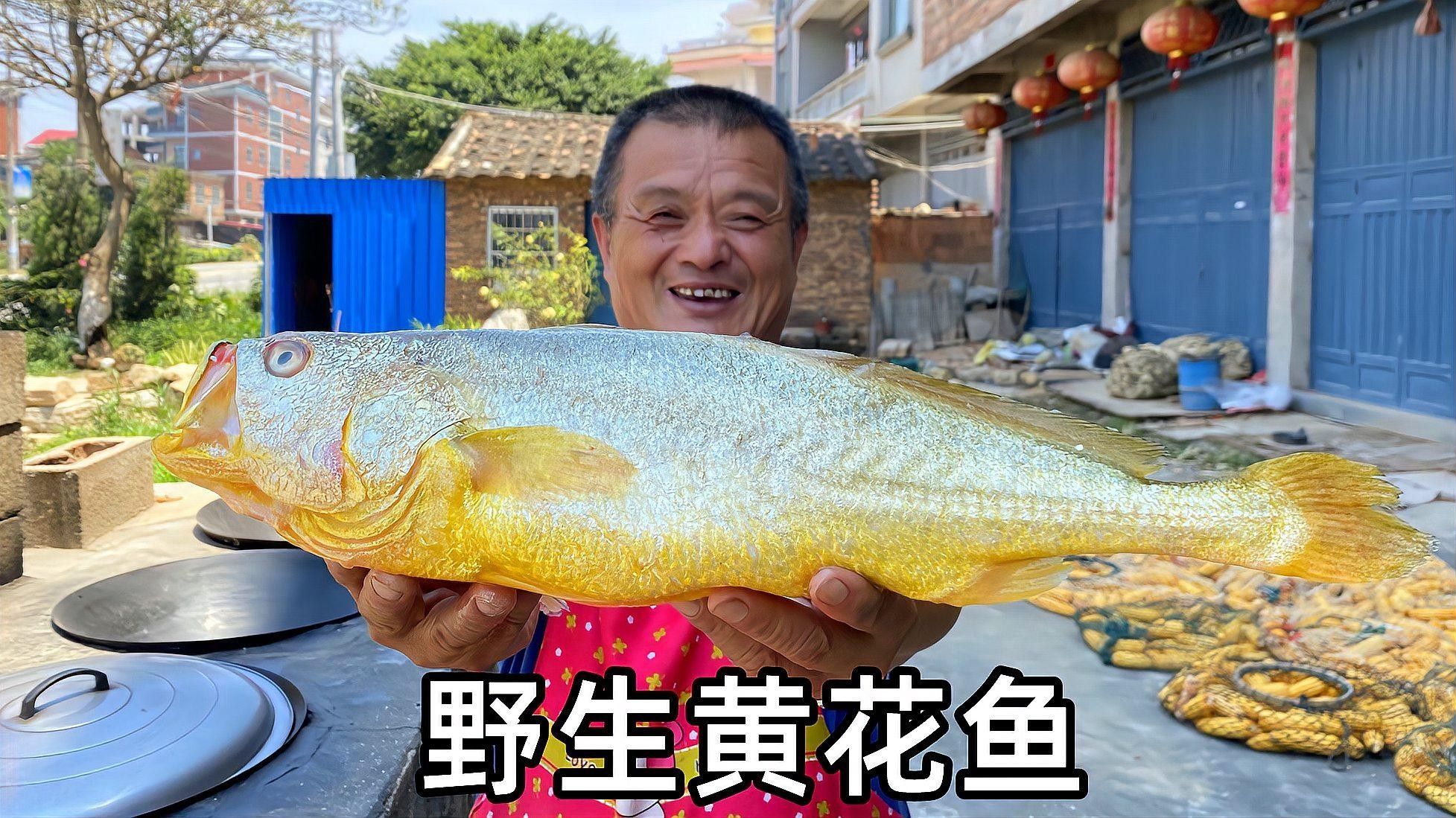 黃花魚和大黃魚哪個更好吃？（黃花魚和大黃魚到底差在哪里）