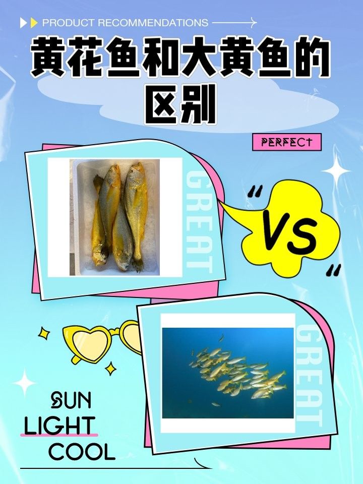 黃花魚和大黃魚哪個更好吃？（黃花魚和大黃魚到底差在哪里）