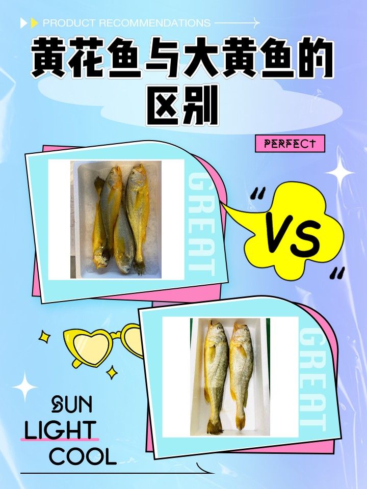 黃花魚和大黃魚哪個更好吃？（黃花魚和大黃魚到底差在哪里）