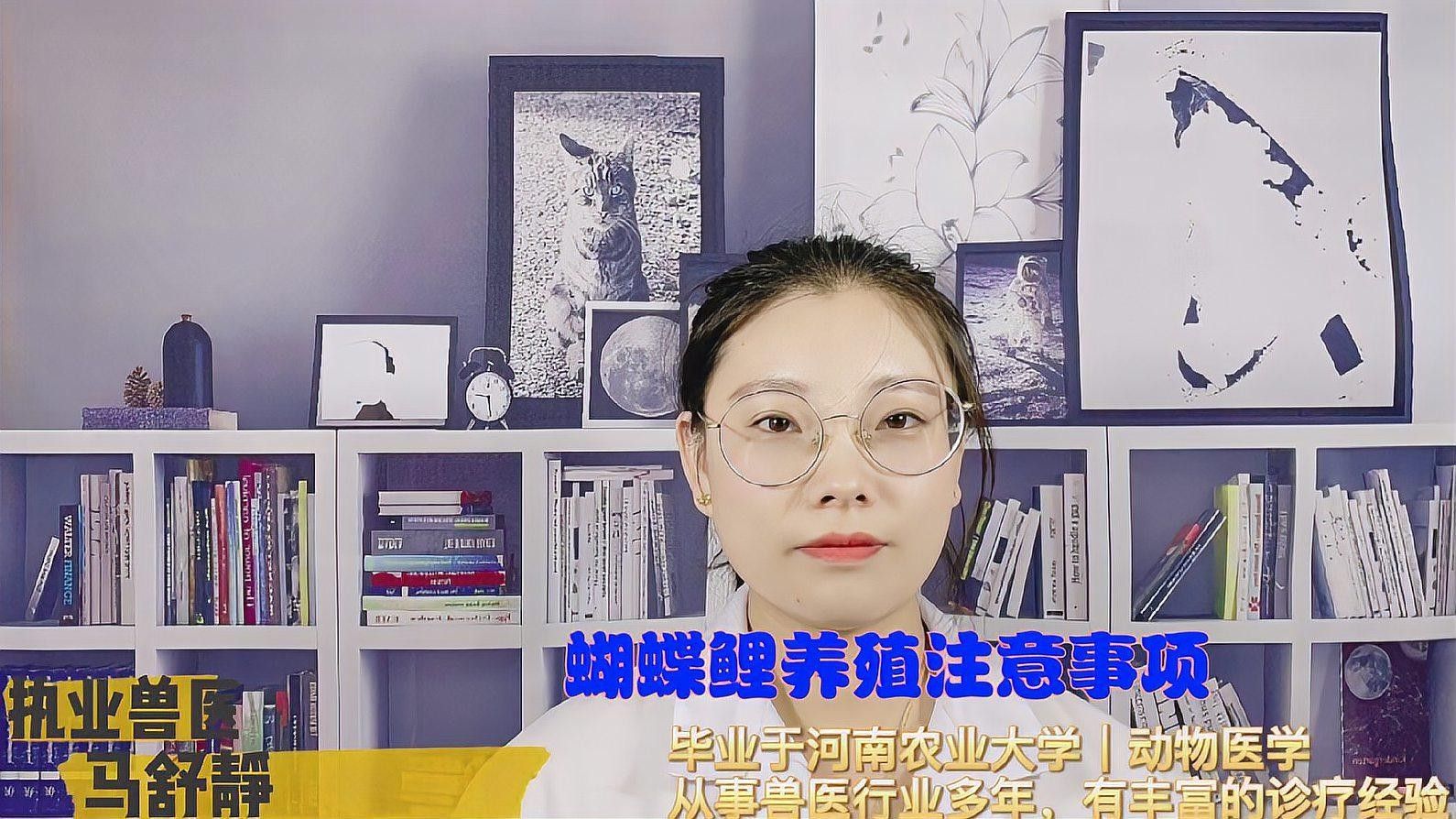 白金龍鳳鯉和蝴蝶鯉哪個更好養(yǎng)