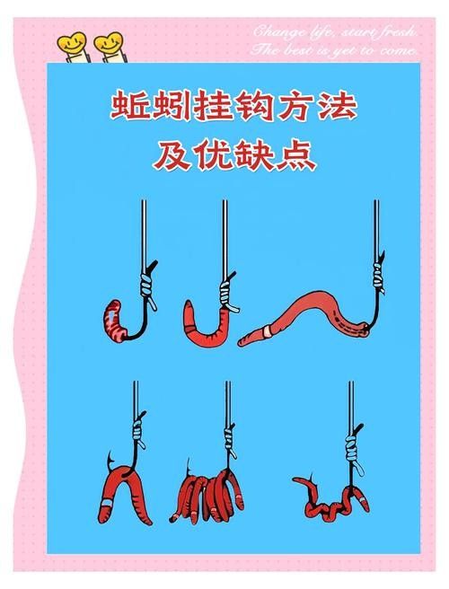如何正確使用金龍魚餌？（如何正確使用金龍魚餌） 如何正確使用金龍魚餌？（如何正確使用金龍魚餌） 龍魚百科 第4張