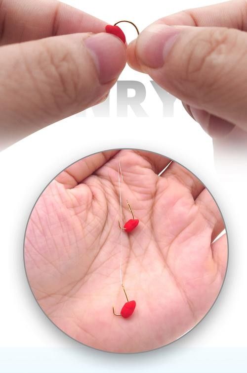 如何正確使用金龍魚餌？（如何正確使用金龍魚餌） 如何正確使用金龍魚餌？（如何正確使用金龍魚餌） 龍魚百科 第1張