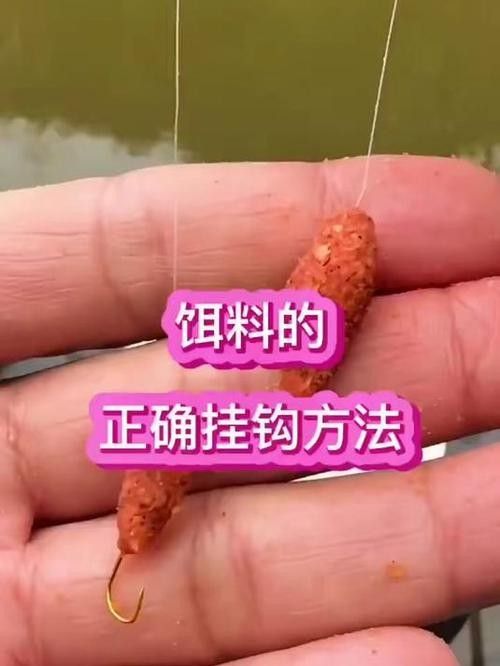如何正確使用金龍魚餌？（如何正確使用金龍魚餌） 如何正確使用金龍魚餌？（如何正確使用金龍魚餌） 龍魚百科 第2張