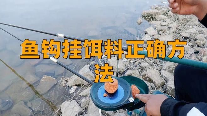 如何正確使用金龍魚餌？（如何正確使用金龍魚餌） 如何正確使用金龍魚餌？（如何正確使用金龍魚餌） 龍魚百科 第7張