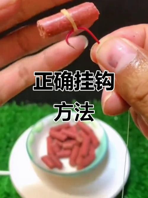如何正確使用金龍魚餌？（如何正確使用金龍魚餌） 如何正確使用金龍魚餌？（如何正確使用金龍魚餌） 龍魚百科 第5張