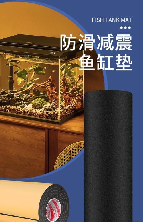 如何選擇適合養(yǎng)龍魚的魚缸（養(yǎng)龍魚的魚缸選擇是確保魚類健康和環(huán)境適宜的關鍵）