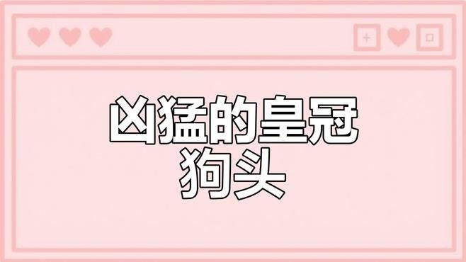 如何選擇性格溫和的狗頭魚