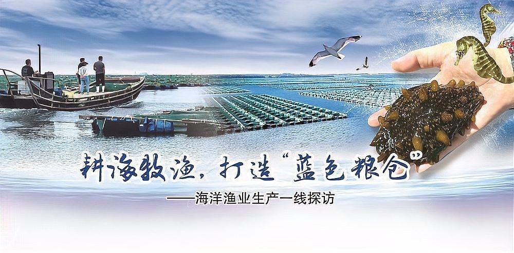 曹妃甸哪個(gè)水族館龍魚好？祥龍魚場(chǎng)龍魚（曹妃甸祥龍魚場(chǎng)——專業(yè)龍魚養(yǎng)殖批發(fā)）