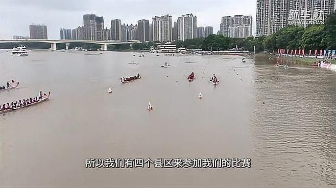 南寧龍魚比賽的歷史（南寧龍魚比賽對當地文化有何影響南寧龍魚比賽歷史起源是什么）