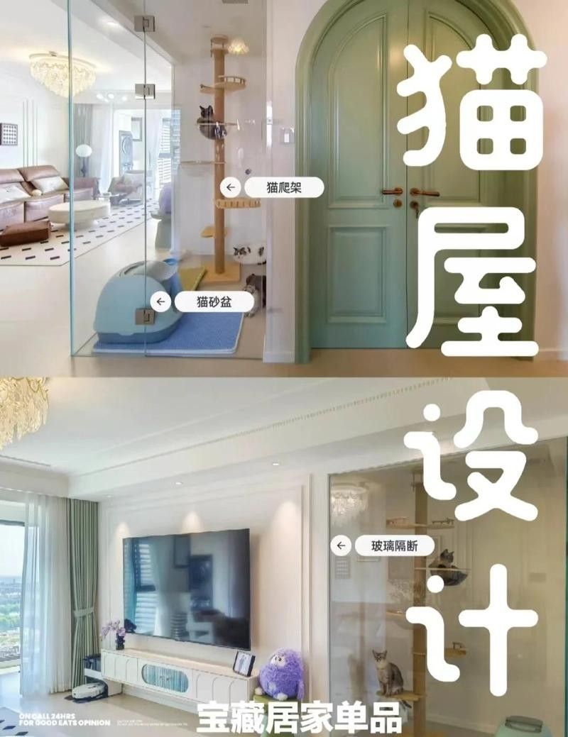 雙養(yǎng)龍貓需要多大的活動(dòng)空間
