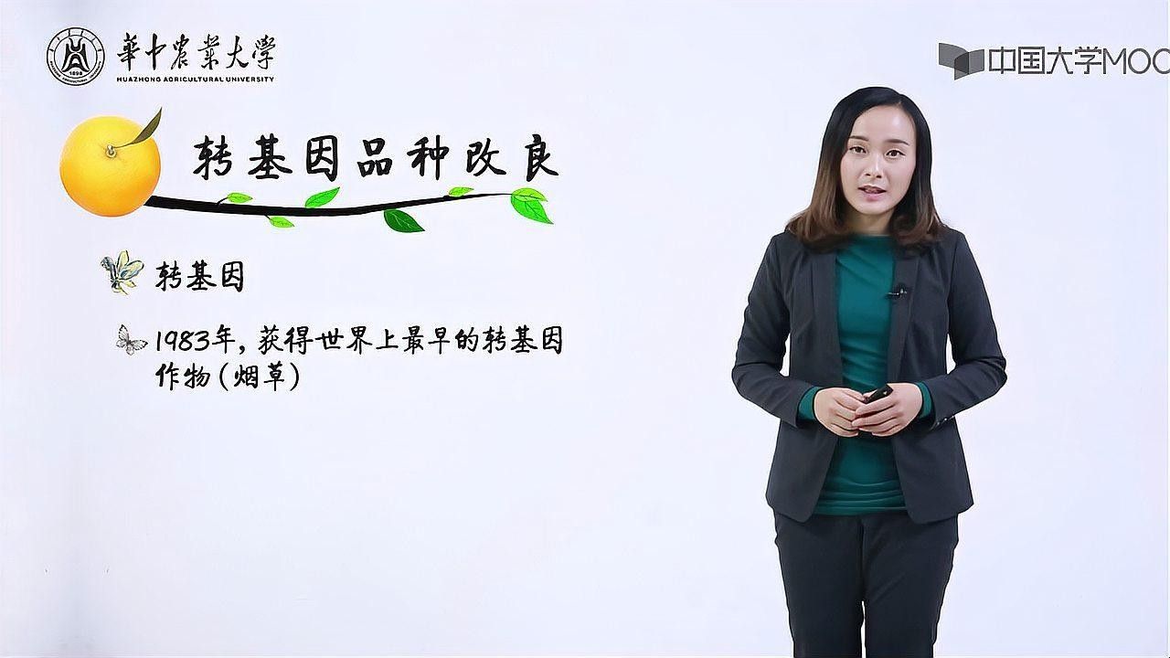 給我推薦一些改良品種