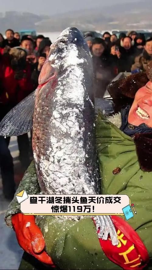 給我一些吉林龍魚的圖片