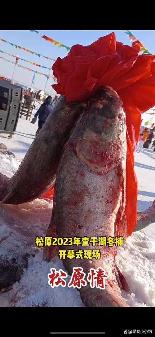 給我一些吉林龍魚的圖片