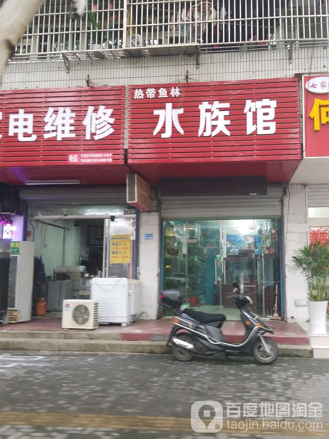 南京哪個(gè)水族館龍魚好？祥龍魚場龍魚（南京祥龍魚場是一個(gè)值得一游的地方，無論你是龍魚愛好者還是普通游客）