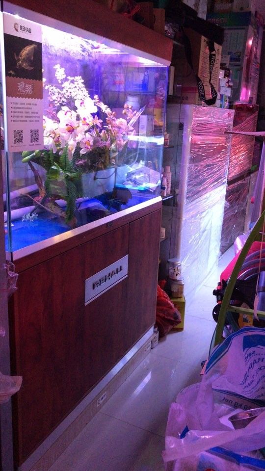 南京哪個(gè)水族館龍魚好？祥龍魚場龍魚（南京祥龍魚場是一個(gè)值得一游的地方，無論你是龍魚愛好者還是普通游客）