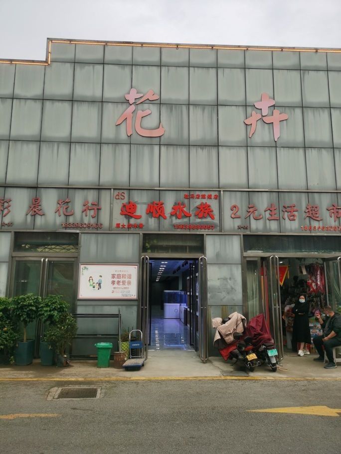 駐馬店哪個水族館龍魚好？祥龍魚場龍魚