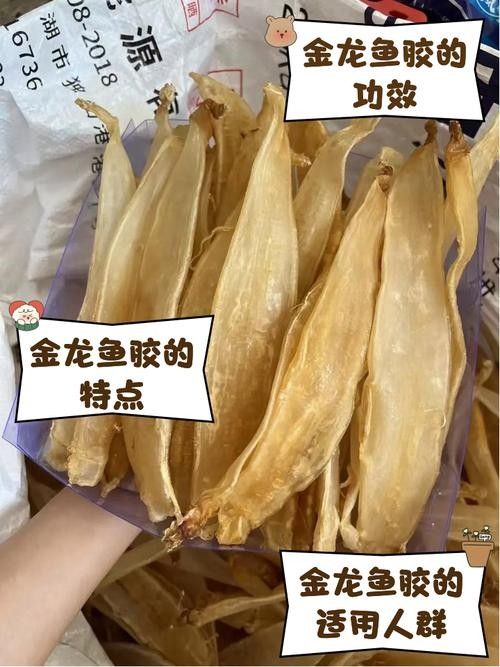 如何判斷金龍魚膠的年份