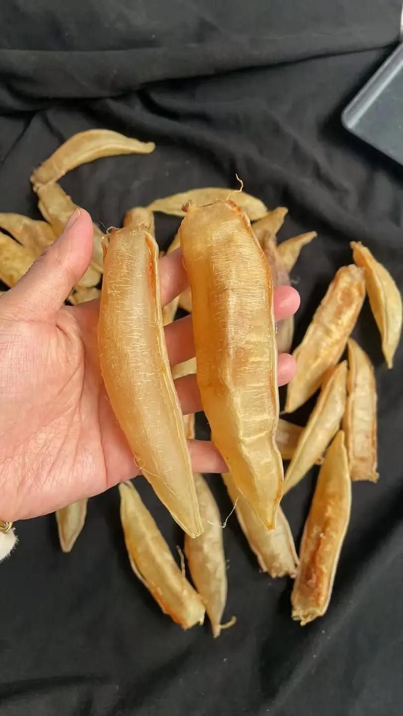 如何判斷金龍魚膠的年份