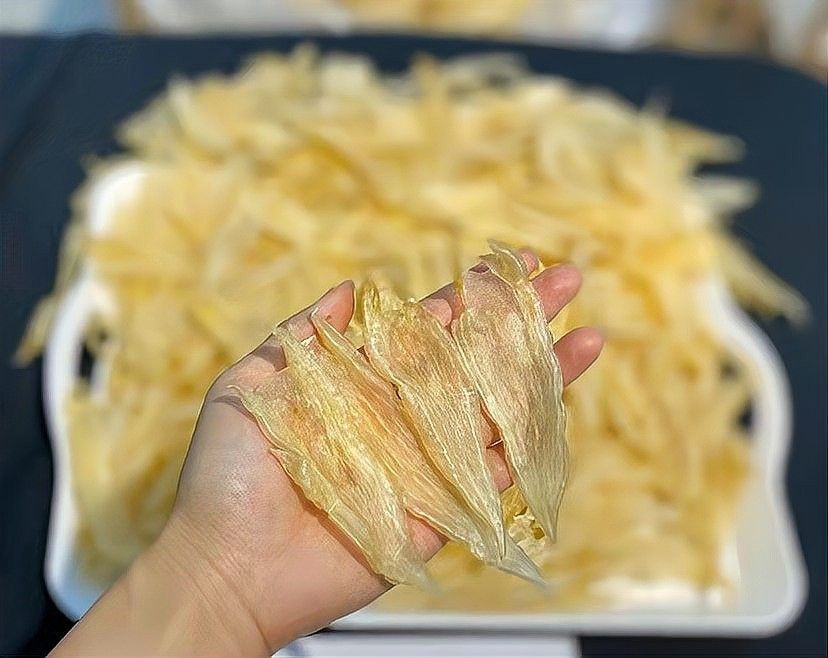 如何判斷金龍魚膠的年份