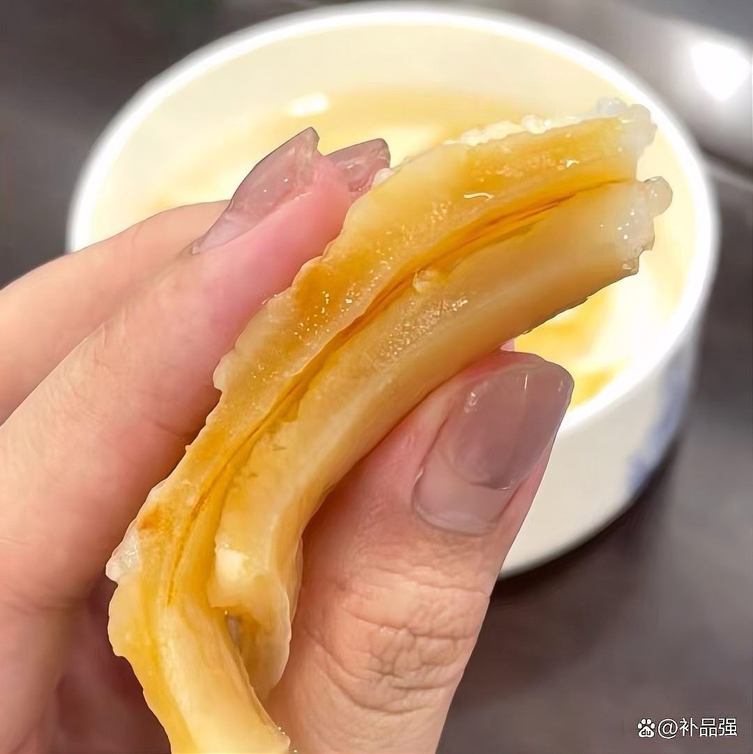 如何判斷金龍魚膠的年份