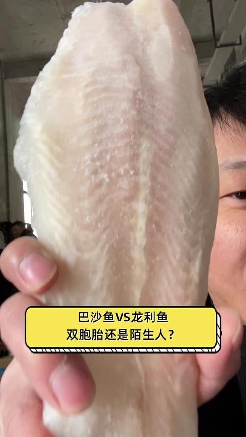 給我一張龍魚和巴沙魚的對比圖片（龍利魚與巴沙魚的區別）