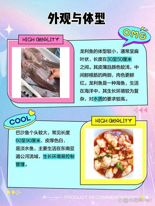 給我一張龍魚和巴沙魚的對比圖片（龍利魚與巴沙魚的區別）