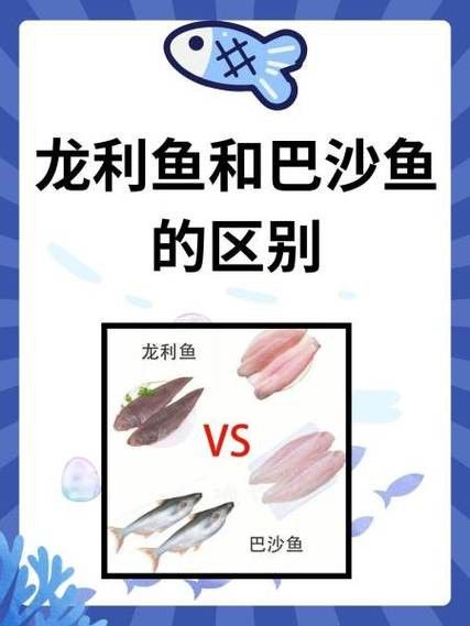 給我一張龍魚和巴沙魚的對比圖片（龍利魚與巴沙魚的區別）