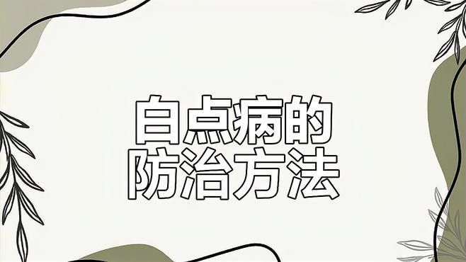 雷龍魚得了白點病還能恢復嗎？
