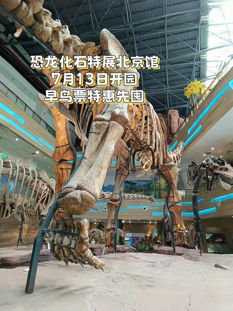 北京有哪些著名的化石市場？（北京旅游攻略）