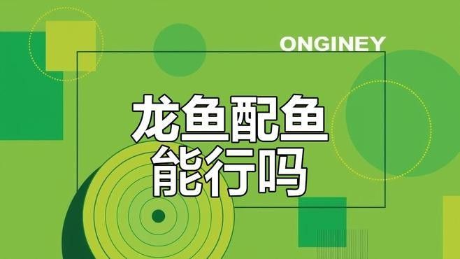 金龍魚和銀龍混養有哪些成功案例（金龍魚和銀龍混養的成功案例）