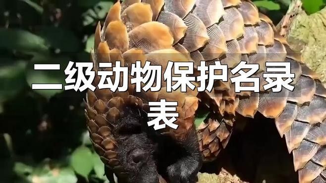 還有哪些動物是國家二級保護動物（2018年國家二級保護動物名錄）