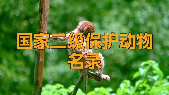 還有哪些動物是國家二級保護動物（2018年國家二級保護動物名錄）