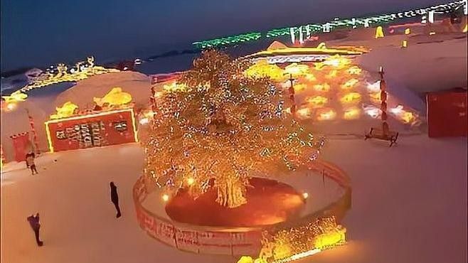 有沒有<strong><mark>吉林</mark></strong>龍魚冬捕的視頻？（<strong><mark>吉林</mark></strong>查干湖冬捕<strong><mark>吉林</mark></strong>龍魚冬捕視頻）