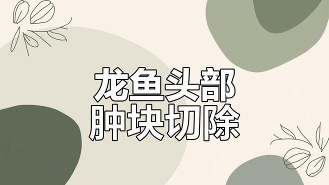 紅龍魚爛鰭手術風險大嗎（紅龍魚爛鰭手術的風險程度取決于操作規范性和術后護理水平）