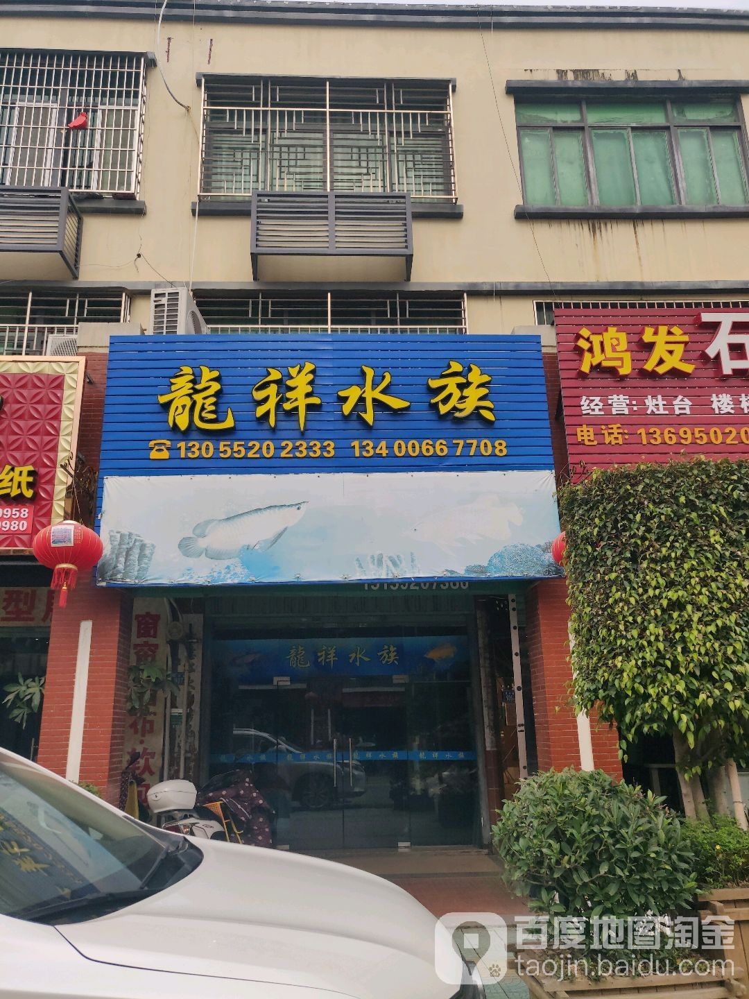 廈門哪個水族館龍魚好？祥龍魚場龍魚