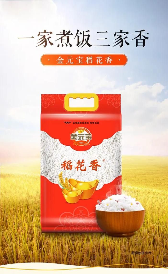 金龍魚和金元寶的價格差異大嗎？（金龍魚和金元寶的價格差異）