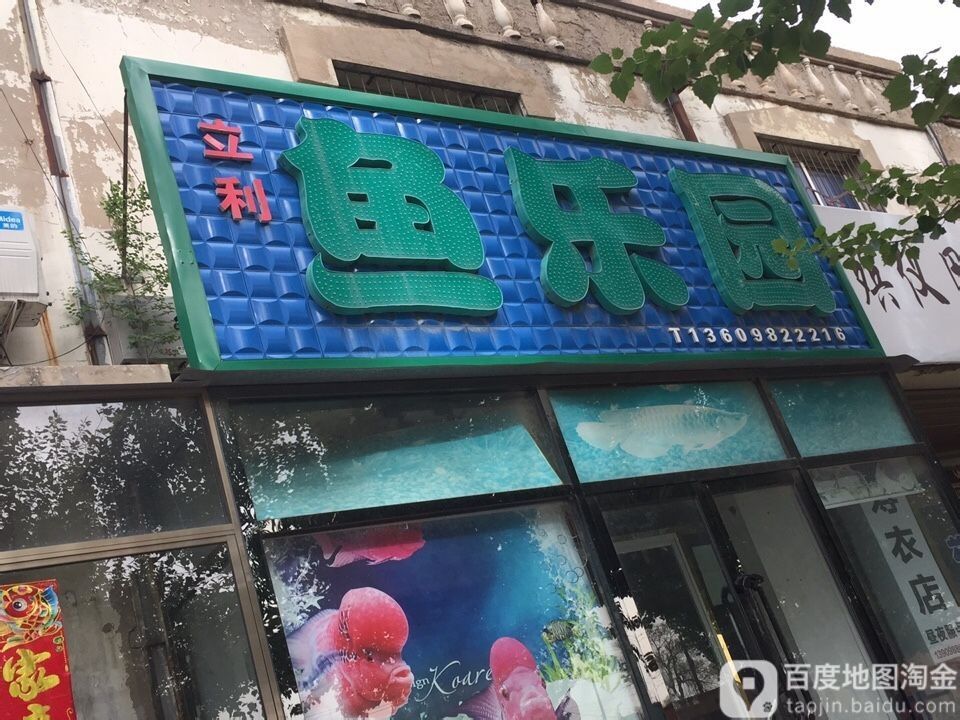 法庫哪個水族館龍魚好？祥龍魚場龍魚（廣州龍魚祥龍魚場）