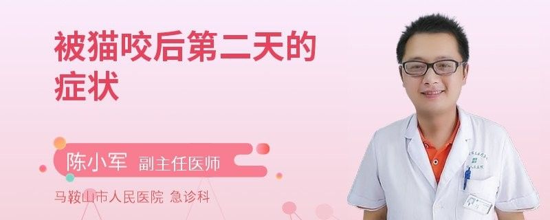 龍貓咬傷后多久會(huì)發(fā)病（貓咬傷后發(fā)病時(shí)間取決于多種因素，龍貓咬傷后發(fā)病時(shí)間取決于多久）