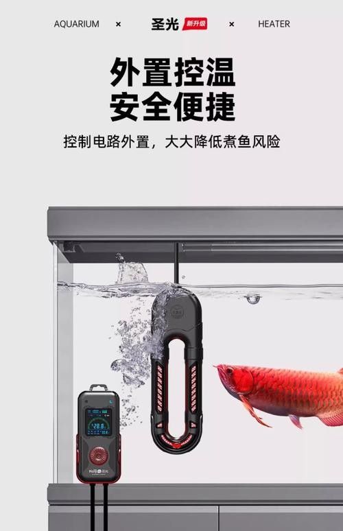 紅龍魚黑缸飼養(yǎng)需要哪些設(shè)備？