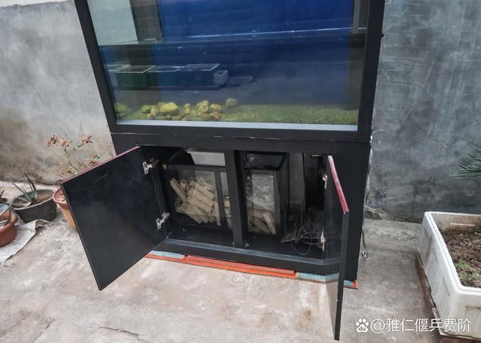 紅龍魚黑缸飼養(yǎng)需要哪些設(shè)備？