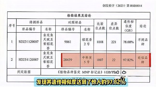 金龍魚收購水稻有哪些品種（金龍魚在<strong><mark>五常</mark></strong>地區收購的水稻品種）