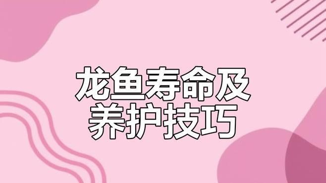 龍魚浮在水面多久會餓死？
