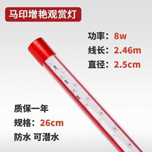 馬印神燈的具體型號有哪些（馬印神燈幾種常見型號）