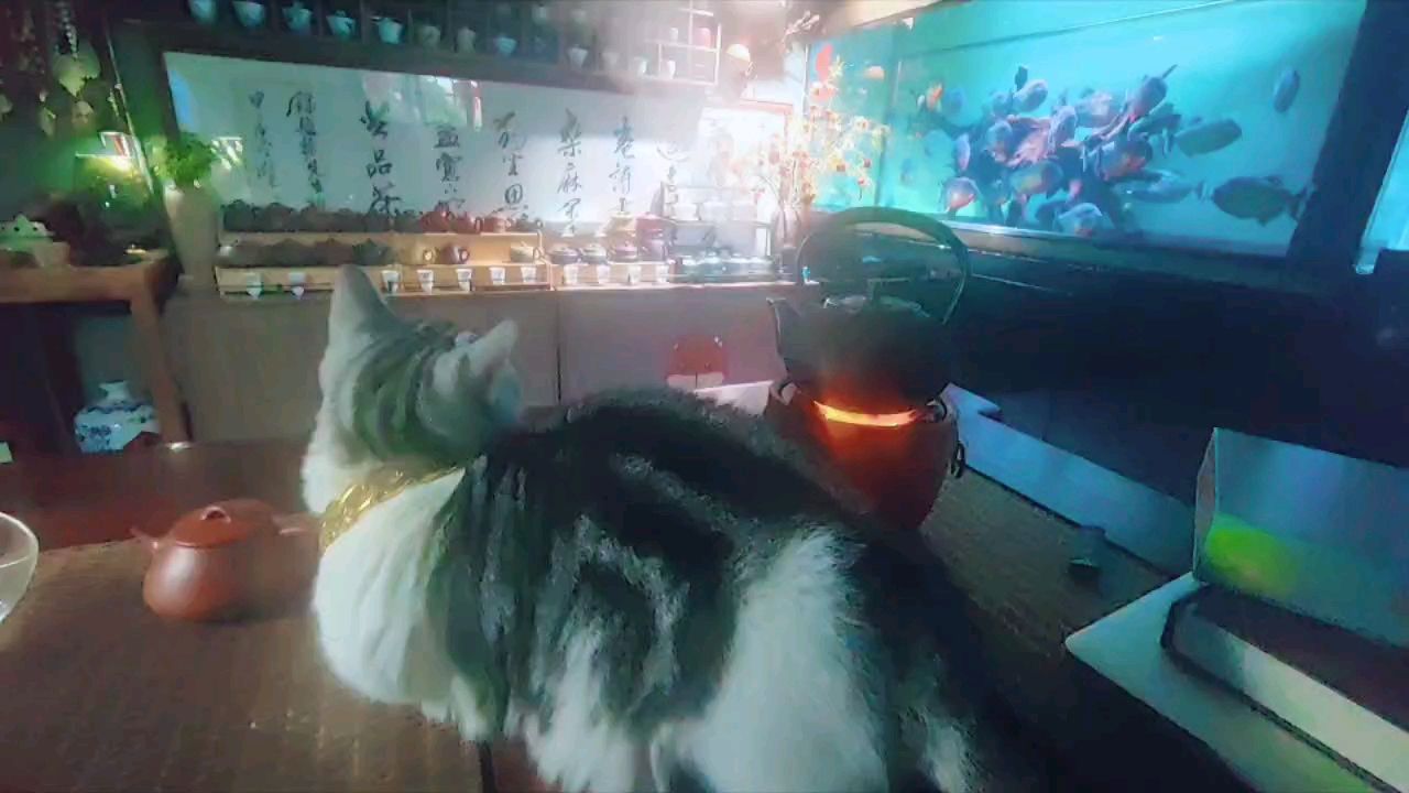 魚全死光的寂寞……（海洋生態(tài)系統(tǒng)中魚類數(shù)量減少的原因）