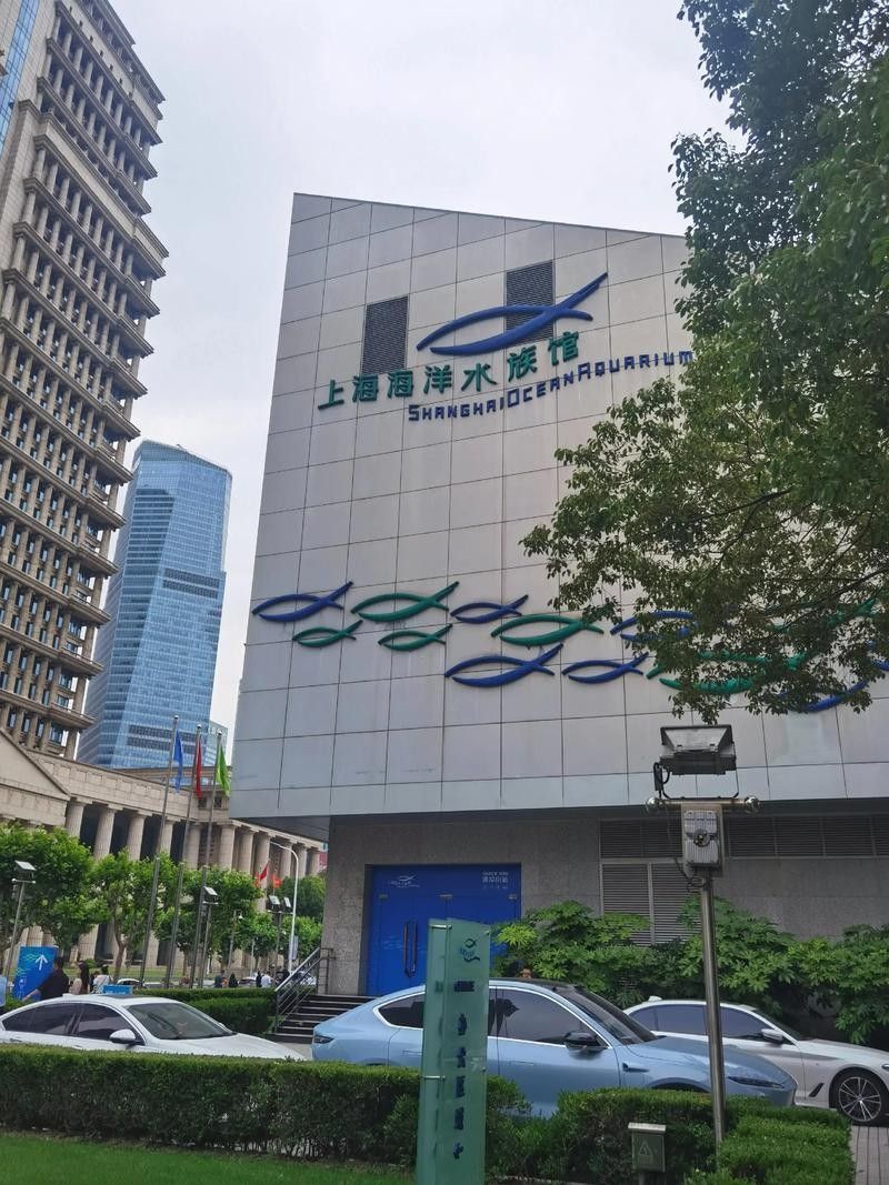 如何聯(lián)系到城陽區(qū)的水族店？（青島城陽區(qū)水族店如何聯(lián)系）