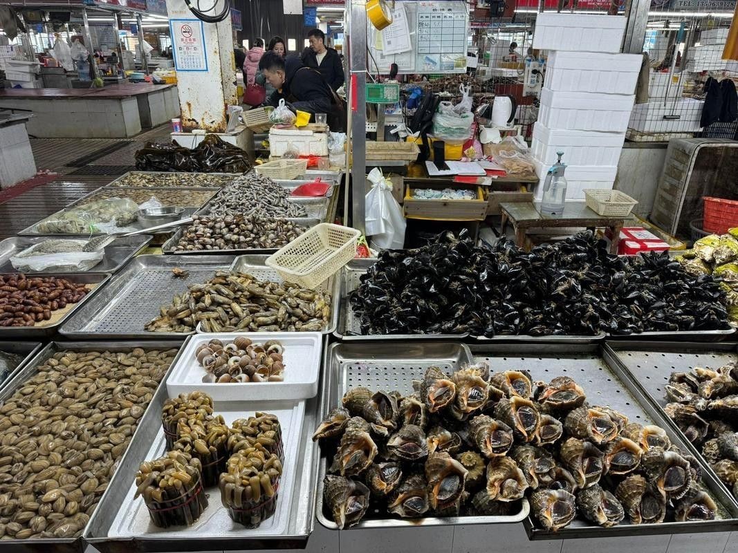 如何聯(lián)系到城陽區(qū)的水族店？（青島城陽區(qū)水族店如何聯(lián)系）