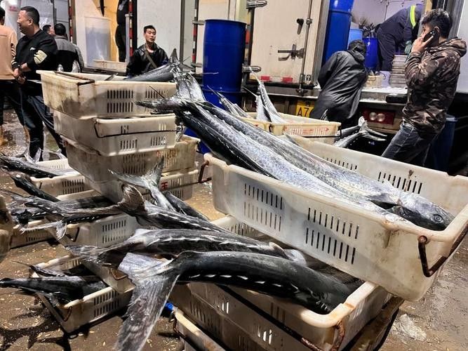 如何聯(lián)系到城陽區(qū)的水族店？（青島城陽區(qū)水族店如何聯(lián)系）