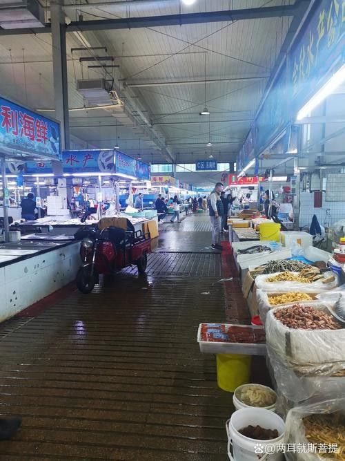 如何聯(lián)系到城陽區(qū)的水族店？（青島城陽區(qū)水族店如何聯(lián)系）