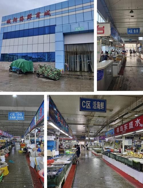 如何聯(lián)系到城陽區(qū)的水族店？（青島城陽區(qū)水族店如何聯(lián)系）