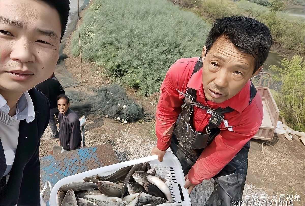 如何增強金龍魚的免疫力？（如何提高金龍魚的免疫力？）